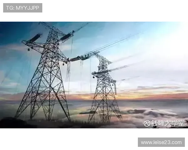 通过365电子平台实现财富增值，专家建议不可错过